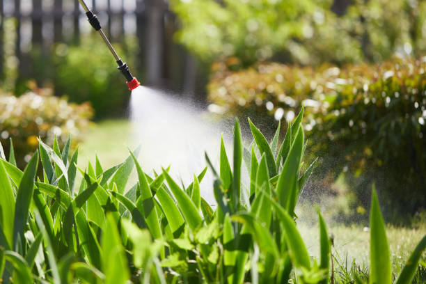 24/7 Emergency Mosquito Control experts in Fort Myers Shores, FL