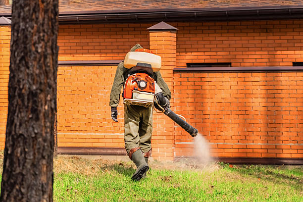 Trusted Termite Control service in Fort Myers Shores, FL - Nex Pest Control
